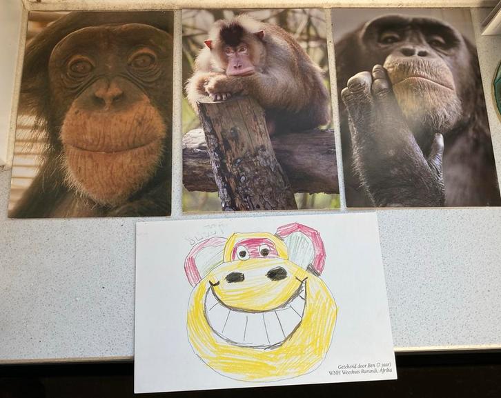 Dierenkaarten, stichting aap, ter nagedachtenis jane goodall, Verzamelen, Ansichtkaarten | Dieren, Gelopen, 1980 tot heden, Hond of Kat