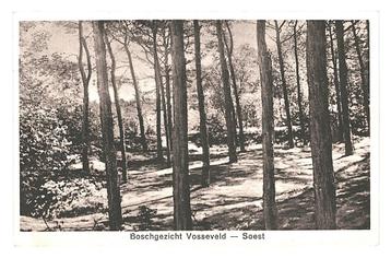 977434 Soest Vosseveld 1931 Gelopen met Postzegel beschikbaar voor biedingen