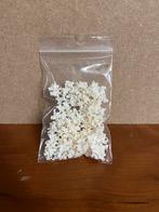 Wervels kraai, Ophalen of Verzenden, Nieuw, Vogel, Schedel