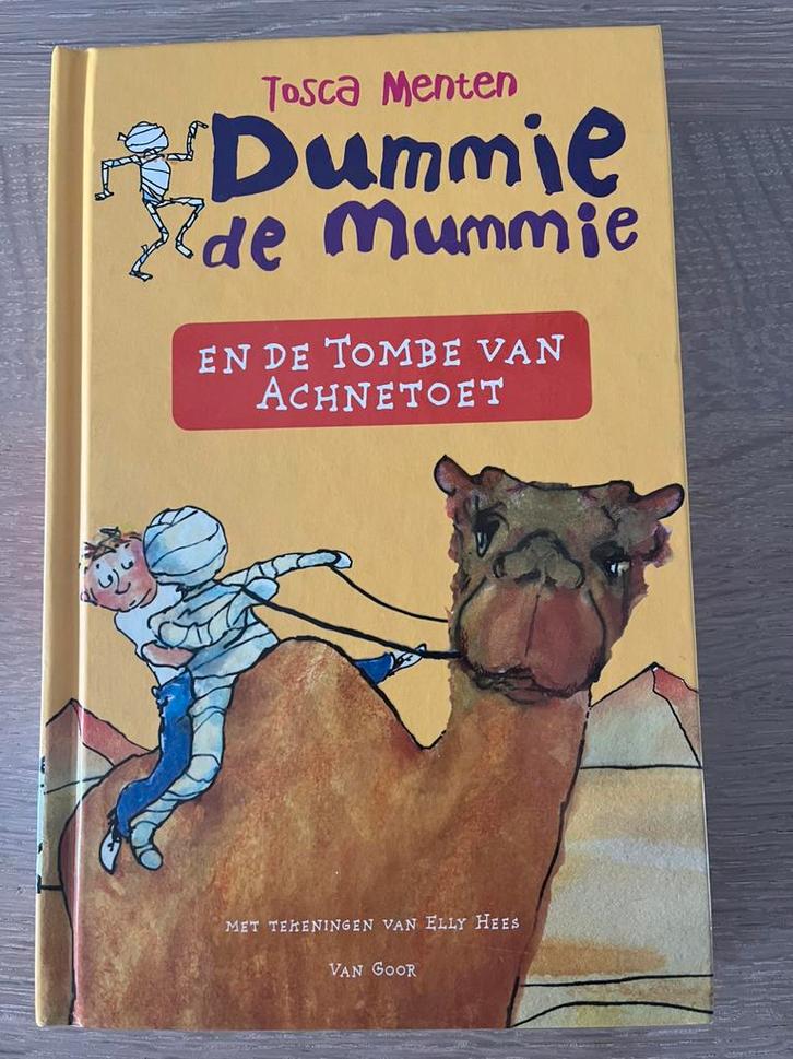 Dummie de mummie en de tombe van Achnetoet, Boeken, Kinderboeken | Jeugd | 10 tot 12 jaar, Zo goed als nieuw, Ophalen of Verzenden