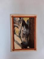 kaart paard veulen dier, Ophalen, 1980 tot heden, Ongelopen, Paard