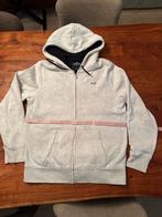 Hollister Vest Teddy Voering - Maat M, Maat 48/50 (M), Ophalen of Verzenden, Zo goed als nieuw, Grijs