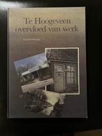 Te Hoogeveen overvloed van werk, 20e eeuw of later, Ophalen of Verzenden, Zo goed als nieuw, Lammert Huizing