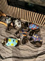 American bully xl pups, HCC (leverziekte), 8 tot 15 weken, Meerdere, Meerdere dieren