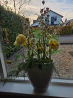 Brynxz Pot met Zijden Bloemen, Huis en Inrichting, Ophalen