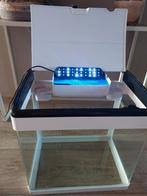 Superfish aguarium,, Ophalen, Gebruikt, Leeg aquarium