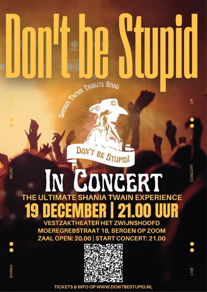 concert kaartje - Shania Twain Experience - 19 december, Tickets en Kaartjes, Concerten | Pop, Eén persoon, December