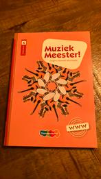 Rinze van der Lei - Muziek Meester! pabo boek, Rinze van der Lei; Lieuwe Noordam; Frans Haverkort, Ophalen of Verzenden, Zo goed als nieuw