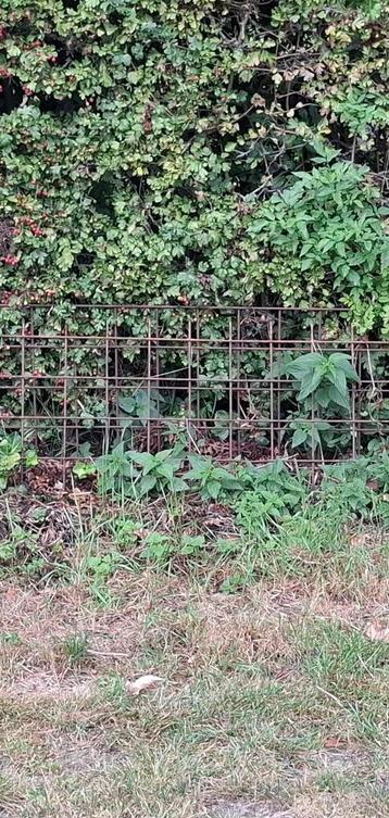 2x Gaaspaneel 5 meter x 50 cm x 10 cm maaswijdte beschikbaar voor biedingen