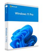Windows 11 Pro installatie aan huis of op locatie, Ophalen of Verzenden, Nieuw, Windows