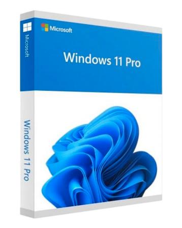 Windows 11 Pro installatie aan huis of op locatie beschikbaar voor biedingen