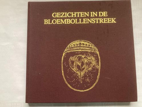 T.K. Gezichten in de bloembollenstreek A. M. Hulkenberg, Boeken, Geschiedenis | Stad en Regio, Gelezen, 20e eeuw of later, Ophalen of Verzenden