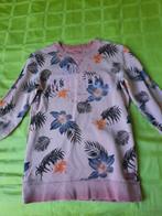 Roze jongens trui maat 158 - 164 - Santa Monica - WE, Ophalen, Gebruikt, WE, Trui of Vest