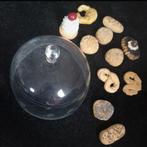 Mooie stolp met kunstbroodjes, Ophalen of Verzenden, Zo goed als nieuw