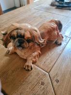 Vintage Pekinees Porseleinen Beeld art deco, Ophalen of Verzenden