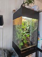 Paludarium /terrarium 50x50x95, Dieren en Toebehoren, Reptielen en Amfibieën | Toebehoren, Ophalen of Verzenden, Zo goed als nieuw