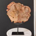 Versteend hout schijf op standaard 37x28cm, Ophalen of Verzenden