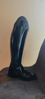 Nieuwe rijlaarzen, Dressuur, Nieuw, Ophalen of Verzenden, Dames