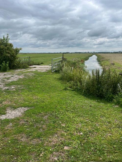 Stalling aangeboden in Wormer, Dieren en Toebehoren, Stalling en Weidegang, Stalling, Weidegang