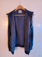 Primark Cedar Wood Vest met ritssluiting XL, Grijs, Ophalen of Verzenden, Maat 56/58 (XL), Zo goed als nieuw