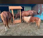Hooihuis te koop 2 maanden oud ophalen stolwijk, Dieren en Toebehoren, Paarden en Pony's | Overige Paardenspullen, Ophalen of Verzenden