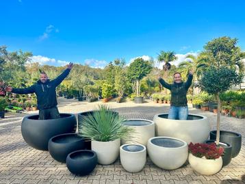 Schitterende trendy bloembakken Ibiza en Mallorca te koop!! beschikbaar voor biedingen