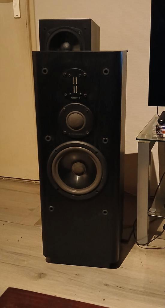 INFINITY RS5001, Audio, Tv en Foto, Luidsprekers, Zo goed als nieuw, Front, Rear of Stereo speakers, 120 watt of meer, Overige merken
