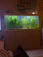 aquatlantis aquarium fusion 150x50x70cm, Dieren en Toebehoren, Vissen | Aquaria en Toebehoren, Ophalen, Gebruikt, Gevuld zoetwateraquarium