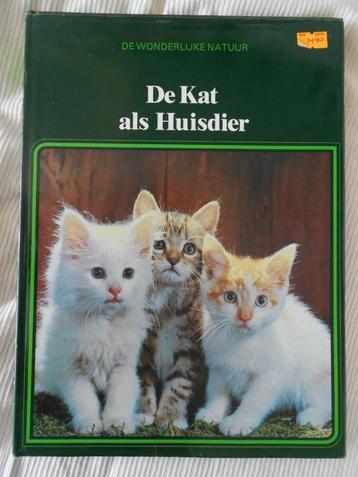 De kat als huisdier - de wonderlijke natuur – lekturama beschikbaar voor biedingen