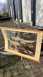 schoolprenten schoolplaten, Antiek en Kunst, Ophalen of Verzenden, Natuur en Biologie