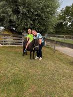 Superlieve kleine pony van 90 cm, A pony (tot 1.17m), 11 jaar of ouder, Recreatiepony, Merrie