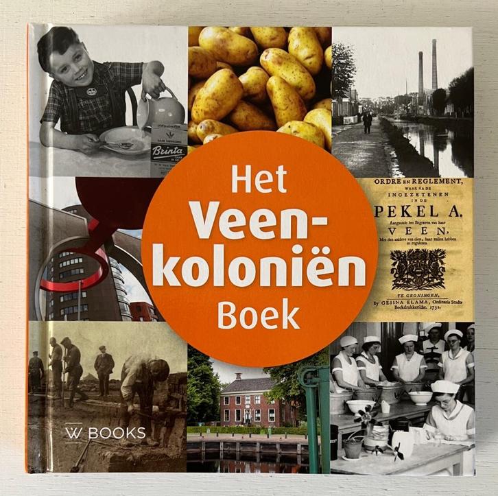 Het Veenkolonien boek - Martin Hillinga, Boeken, Geschiedenis | Stad en Regio, Zo goed als nieuw, Ophalen of Verzenden