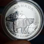 1 oz zilver munt Canada Polar bear, Ophalen of Verzenden, Zilver