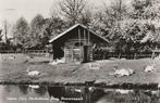 HAREN Hertenkamp Burg. Boeremapark, Verzenden, 1960 tot 1980, Gelopen, Groningen