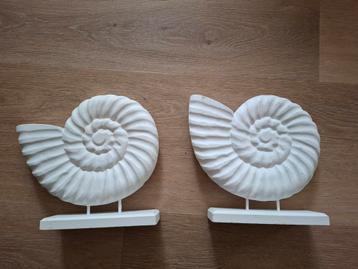 Houten Schelpen Wanddecoratie Set beschikbaar voor biedingen