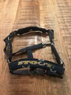 Halster van stout voor veulen of mini shetlander, Dieren en Toebehoren, Ophalen of Verzenden, Zo goed als nieuw, Overige soorten