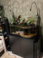 Aquarium 100L met meubel, Dieren en Toebehoren, Ophalen of Verzenden, Zo goed als nieuw, Leeg aquarium