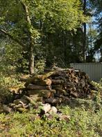 Eiken Openhaardhout te Koop, Tuin en Terras, Haardhout, Minder dan 3 m³, Ophalen, Eikenhout, Blokken