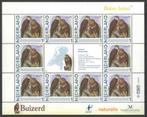 Vogels in Nederland: Buizerd, Ophalen of Verzenden, Na 1940, Postfris