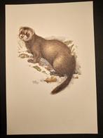 Bunzing, Verzenden, Voor 1940, Overige onderwerpen