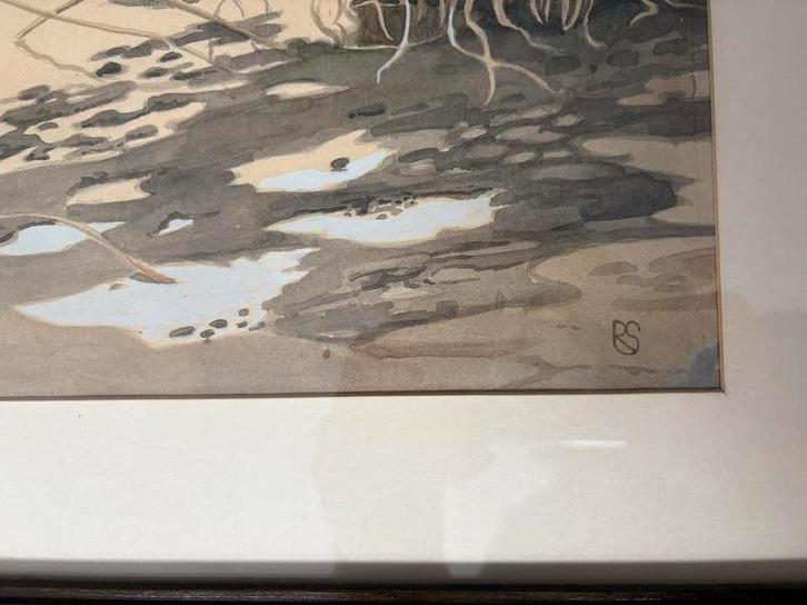 Rein Stuurman Aquarel Watersnippen 30x40, Antiek en Kunst, Kunst | Tekeningen en Foto's, Ophalen of Verzenden