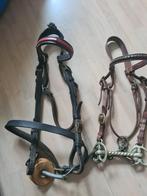 2 hoofdstellen hebben voor decoratie gehangen, Dieren en Toebehoren, Ophalen, Overige soorten