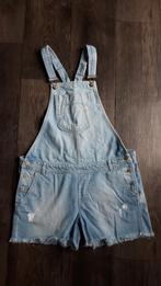 Spijker tuinbroek, Ophalen, Zo goed als nieuw, Blauw