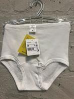 Calida slip maat 38 NIEUW!! Nu €7,50, Ophalen of Verzenden, Slip