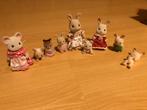 Sylvanian Families Collectie, Ophalen, Gebruikt, Overige typen