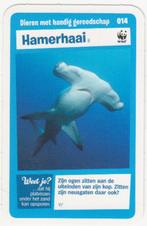 Super dieren no.14 Hamerhaai [5561]  [VeOvSu], Albert Heijn, Ophalen of Verzenden