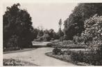 hasselt- plantsoen, Verzamelen, Ansichtkaarten | Nederland, Ophalen of Verzenden, 1940 tot 1960, Friesland