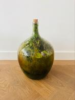 Plant in fles/vaas met eigen ecosysteem Loods 5, Ophalen of Verzenden, Minder dan 50 cm, Groen, Glas