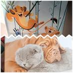 2 Canvas Doeken - Leeuwenkoning & Hond/Kat bijna gratis, Ophalen, Schilderij, Minder dan 50 cm