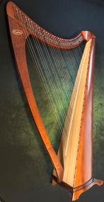 Salvi Livia 36 darm snaren Harp / haakjesharp, Muziek en Instrumenten, Ophalen, Zo goed als nieuw